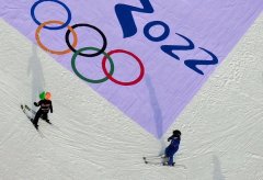 博一把白菜&金蝶（中国）预祝2022冬奥会圆满成功
